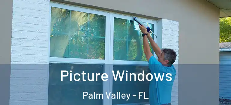  Picture Windows Palm Valley - FL