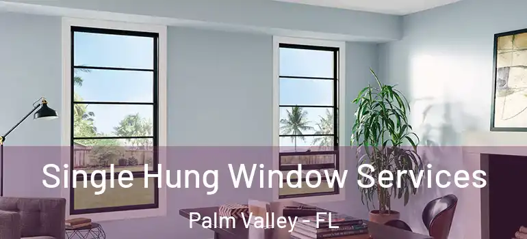  Single Hung Window Services Palm Valley - FL