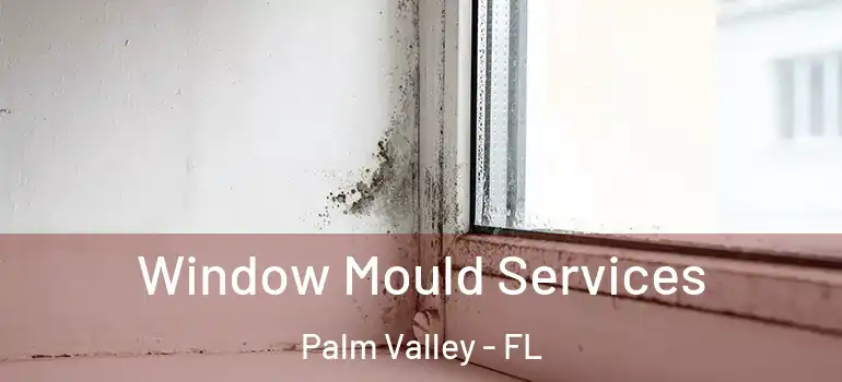  Window Mould Services Palm Valley - FL